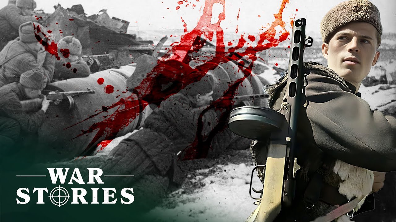 The Horrific First Hand Accounts Of Stalingrad Veterans | Survivors Of Stalingrad | War Stories