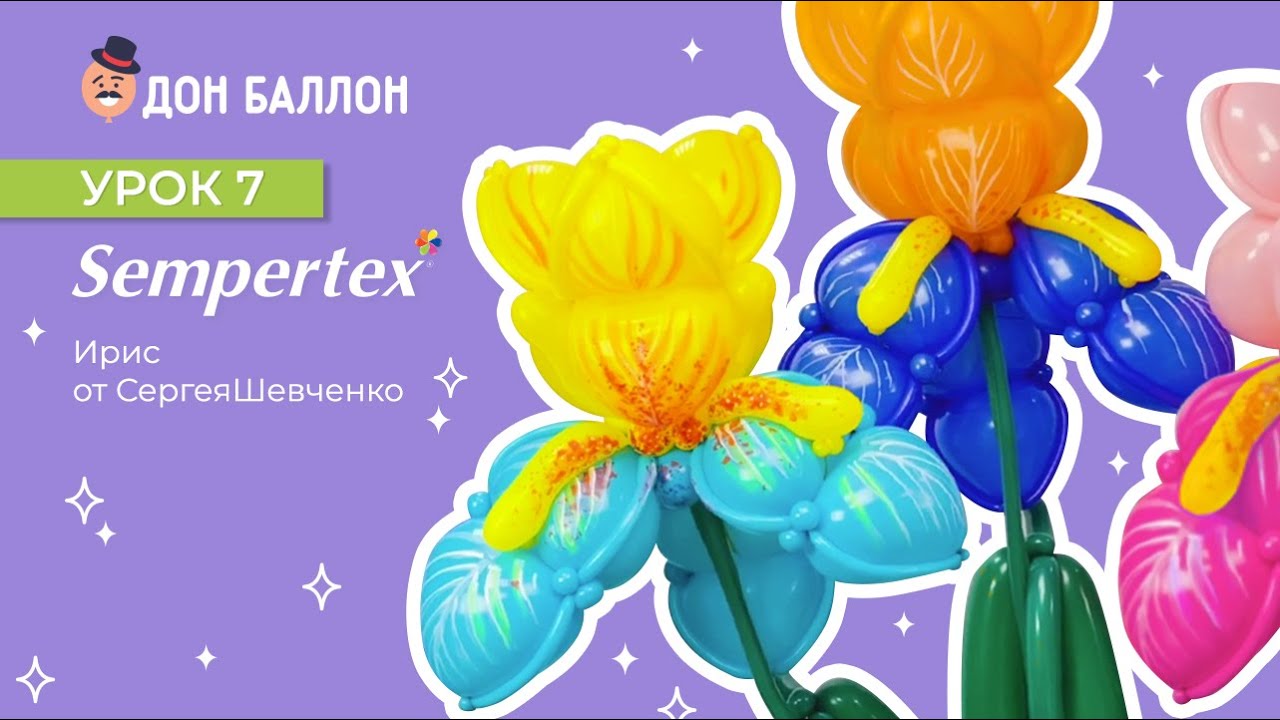 Урок 7. Ирис от художника по воздушным шарам Sempertex Сергея Шевченко