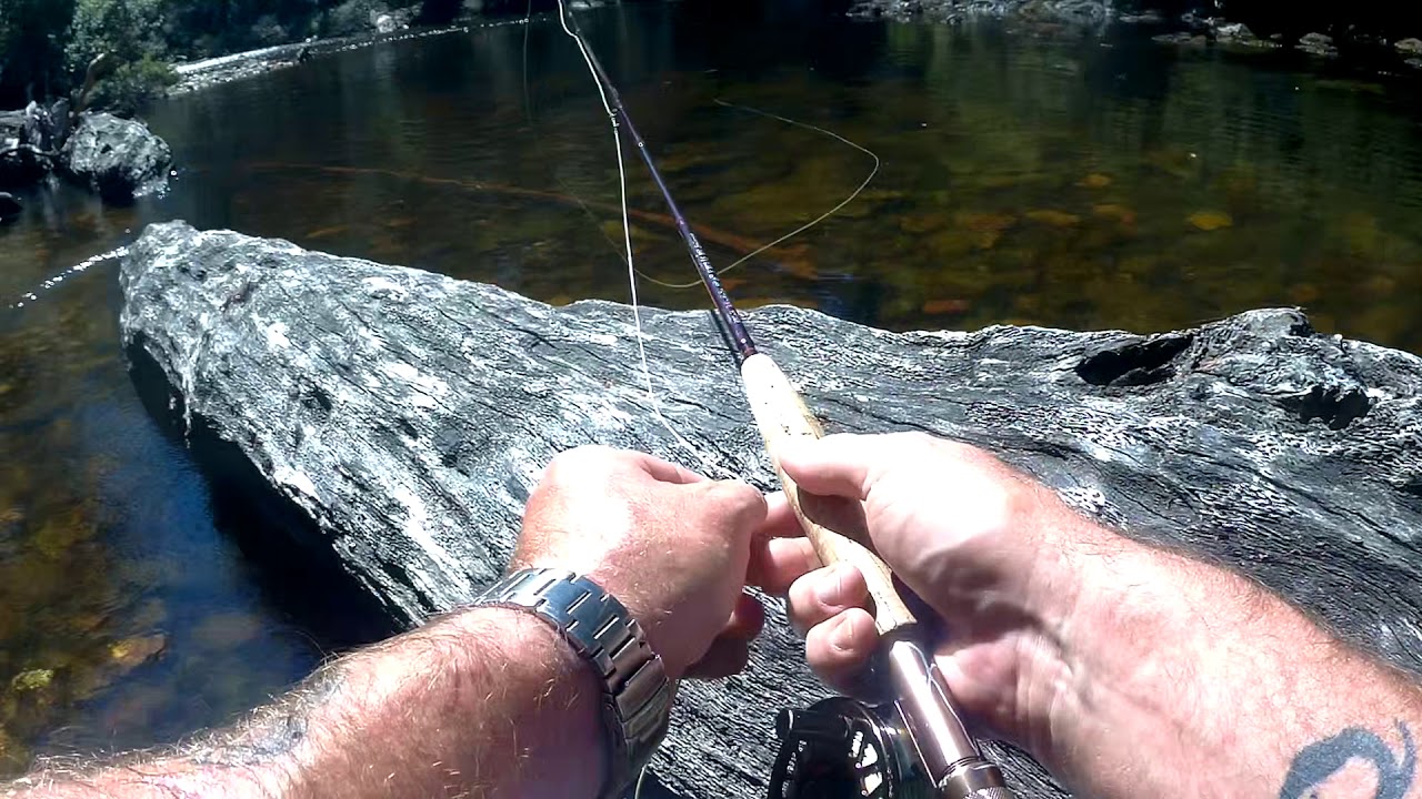 Slow TV - Fishing with Amigo