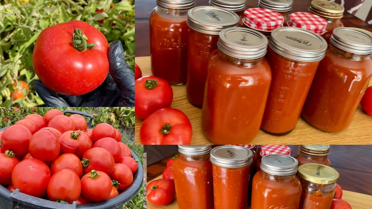 Sauce Tomate Faite Maison Pour Vos Pâtes, Pizza et Autres
