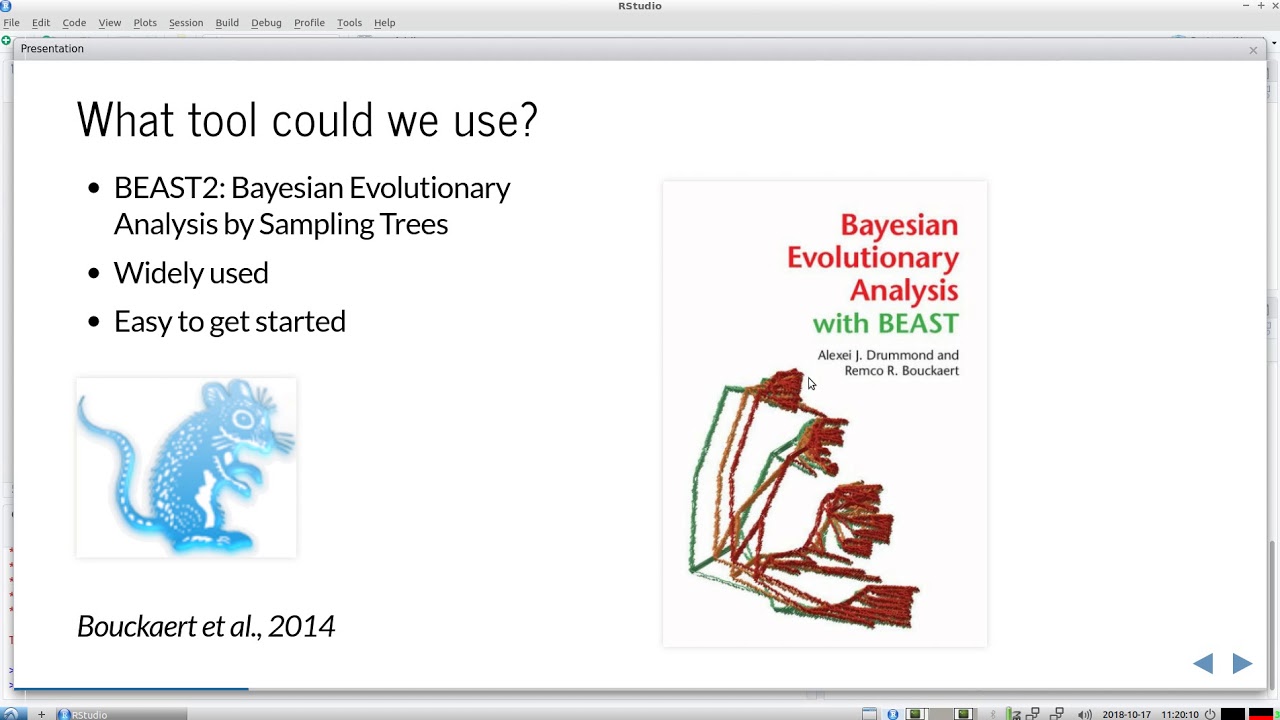 The error we make in Bayesian phylogenetics today