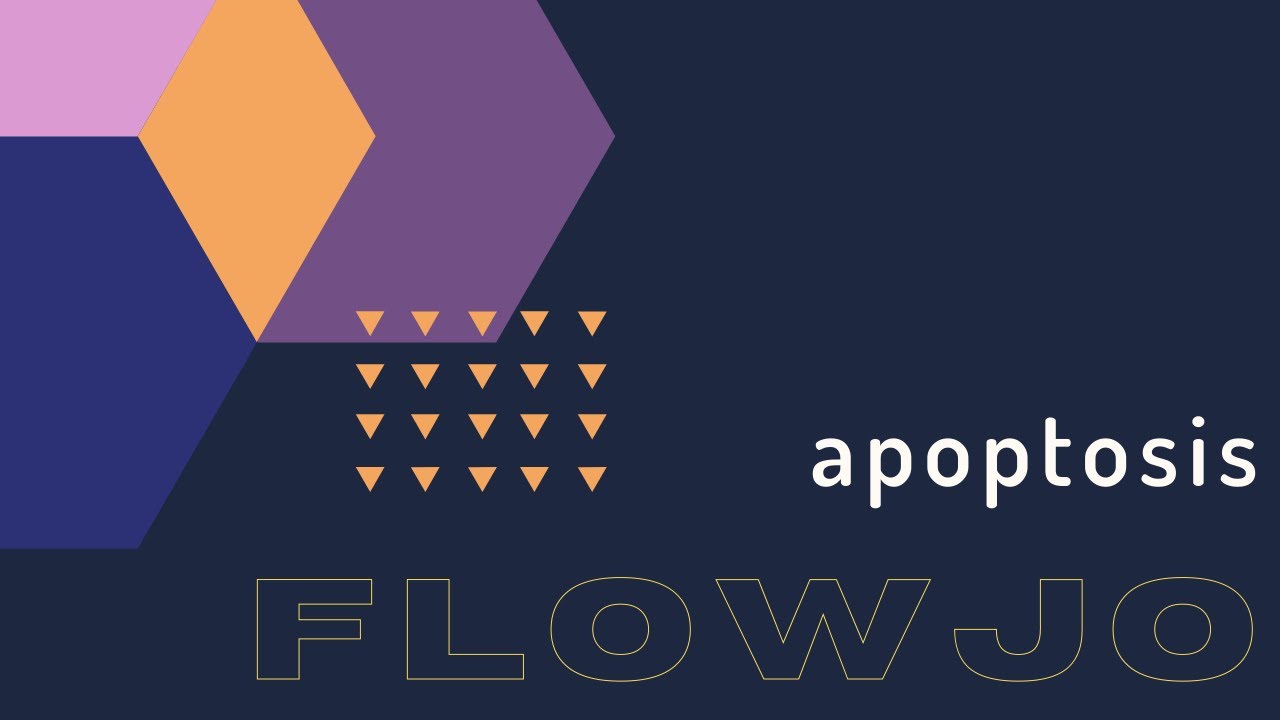 FlowJo [АНАЛИЗ АПОПТОЗА]