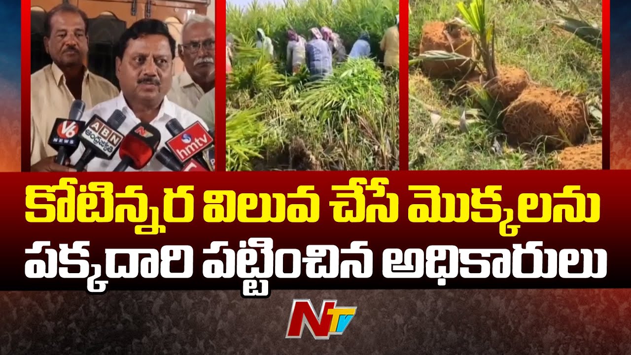 Telangana: కోట్లాది రూ.లు విలువ చేసే పామాయిల్ మొక్కలను కాజేసిన అధికారులు | Ntv