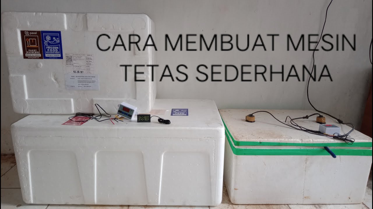 cara membuat mesin tetas sederhana dari bahan box sterofoam (review)