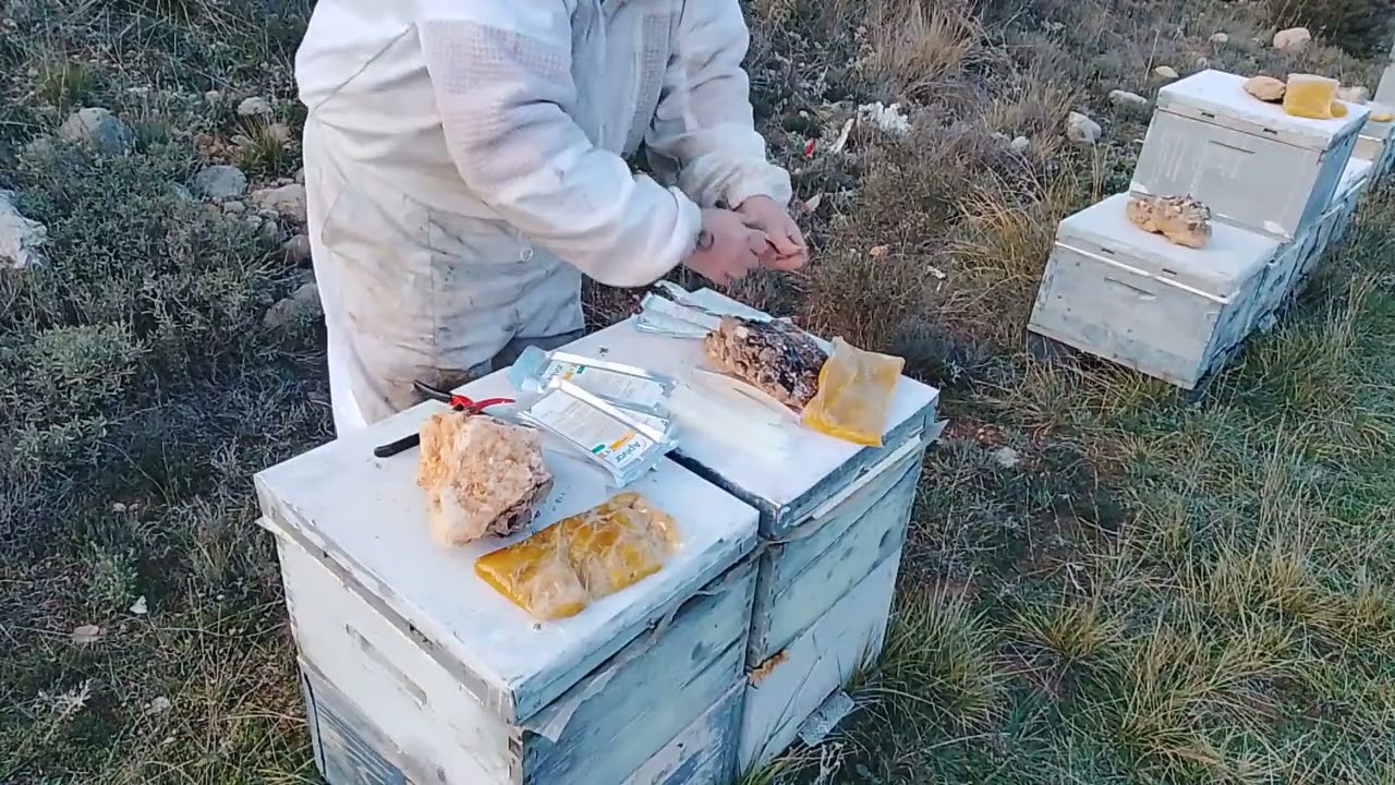 M&aacute;s alimento y tratamiento...