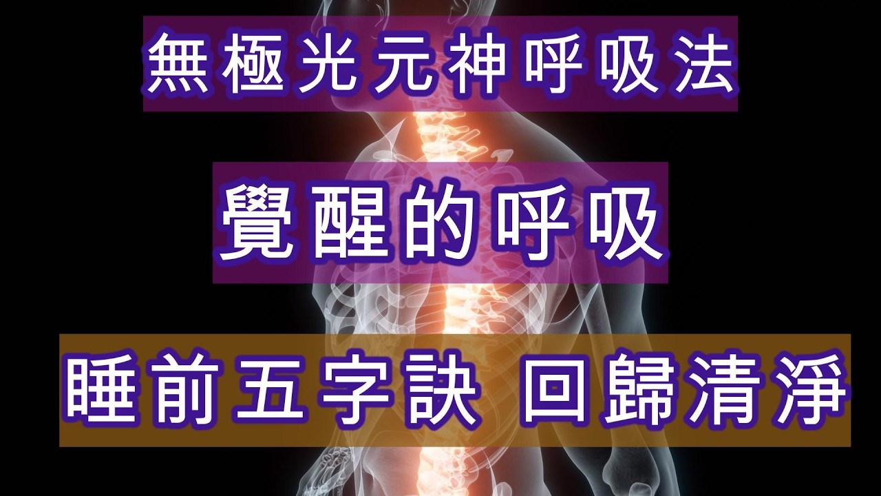 無極光不是神秘力量，它是秩序。元神呼吸法不是技巧，它是回歸。五字訣不是口訣，它是節奏。當你願意每天給自己幾分鐘，讓吸、提、推、放、排自然運行，你會發現，很多你原本想「解決」的問題，其實只是需要被流動。