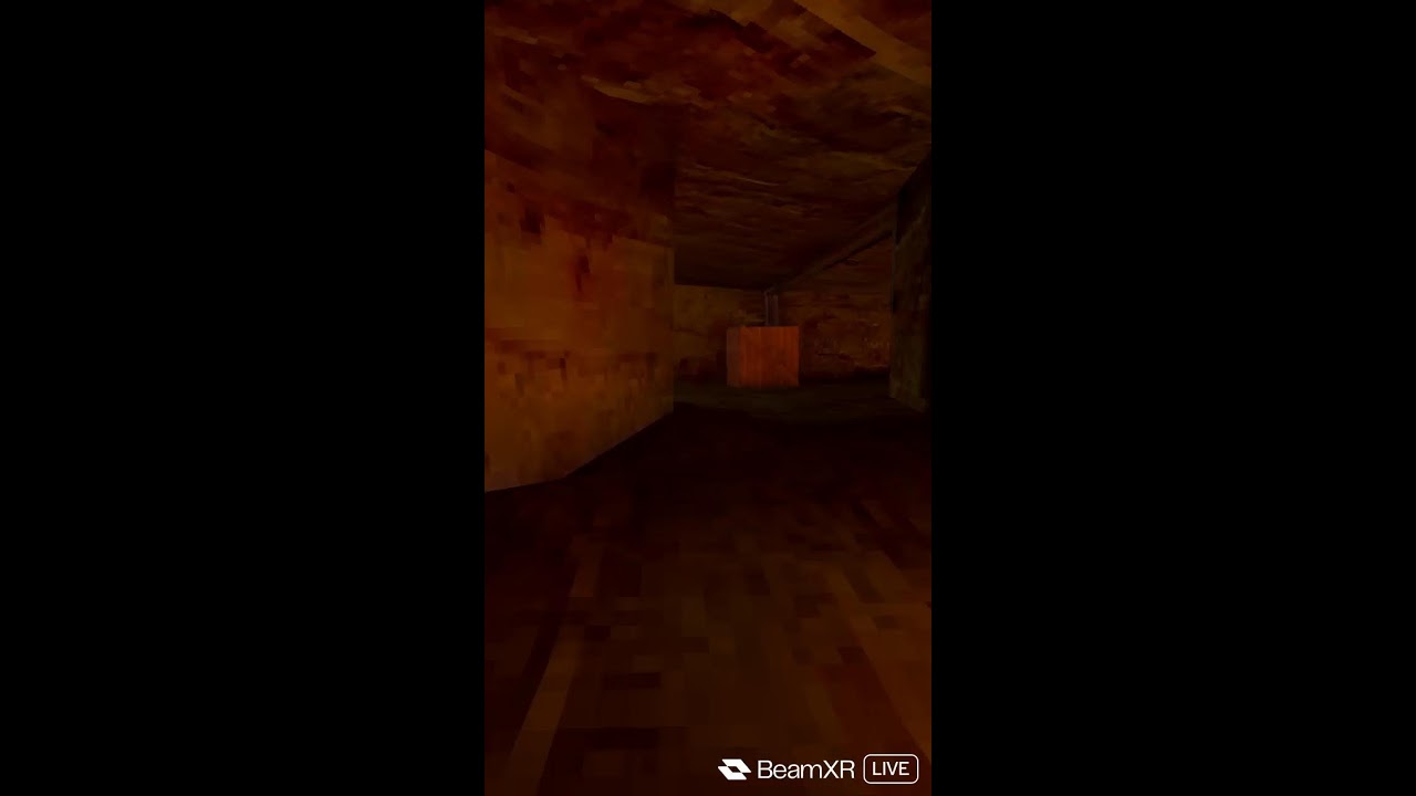 bigbellyvr