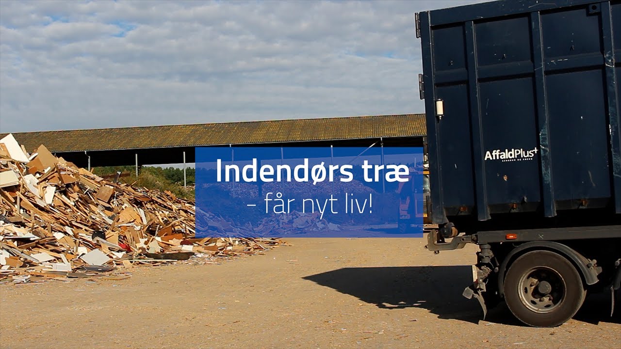 Dit indendørs træ får nyt liv!