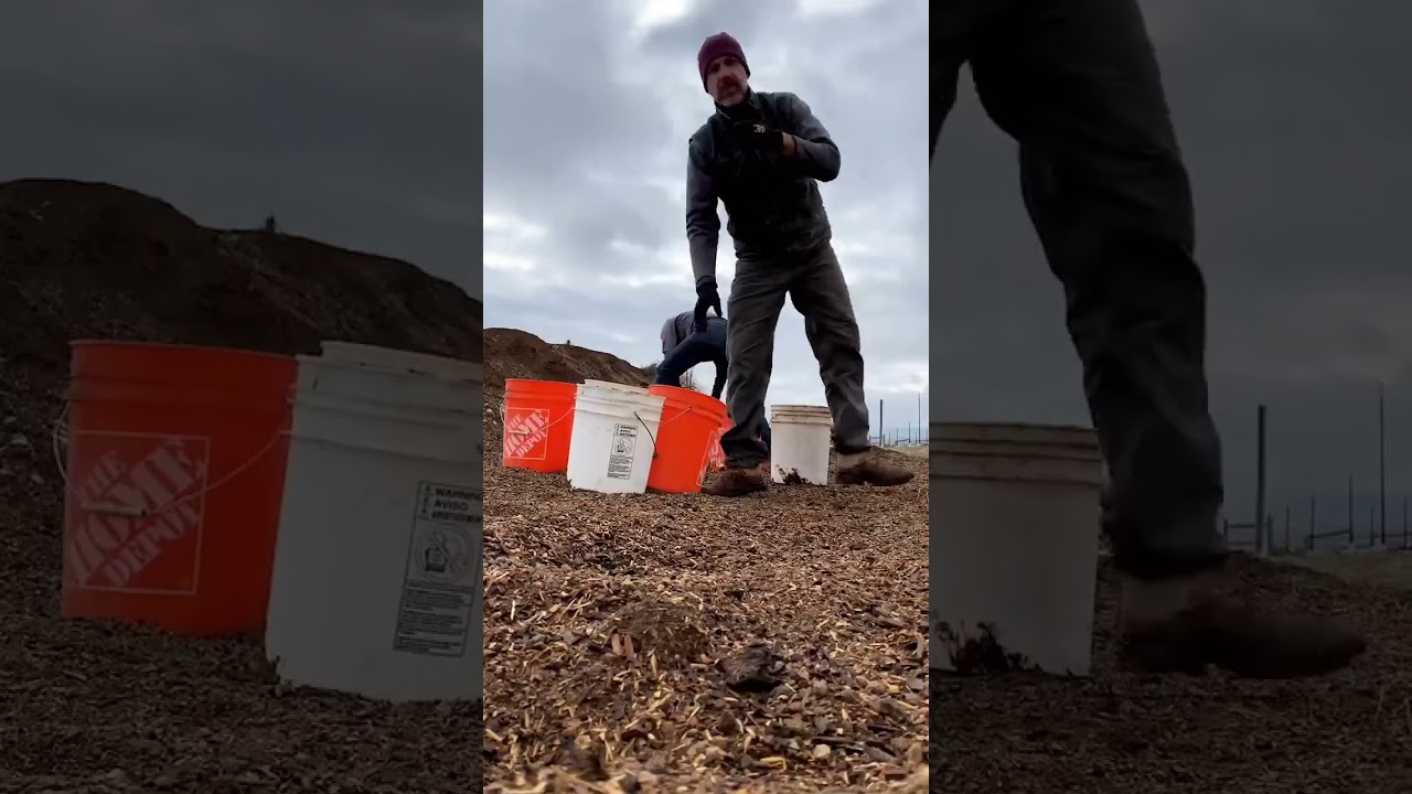 After pruning, each vine is protected with a tube and insulated with compost. 🌿❄️ @jaymegrowsdrinks