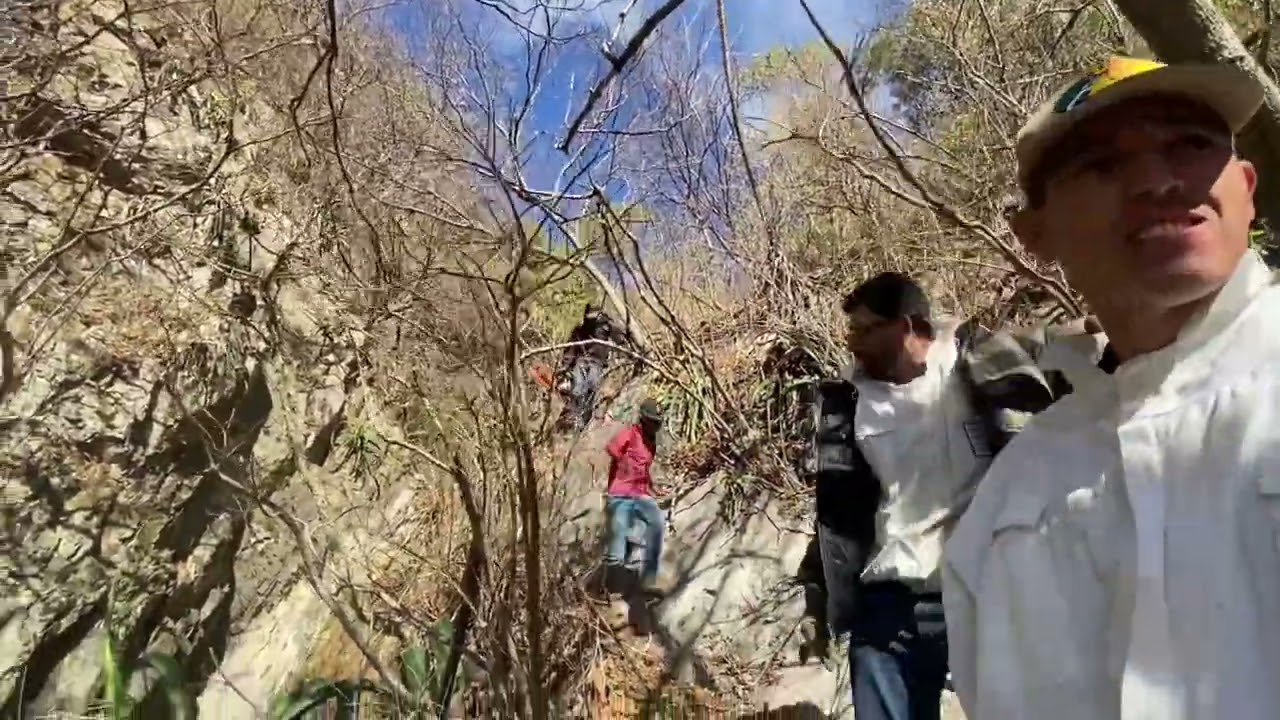 Fuimos a sacar una colmena y así nos fue segunda parte 🐝🍯