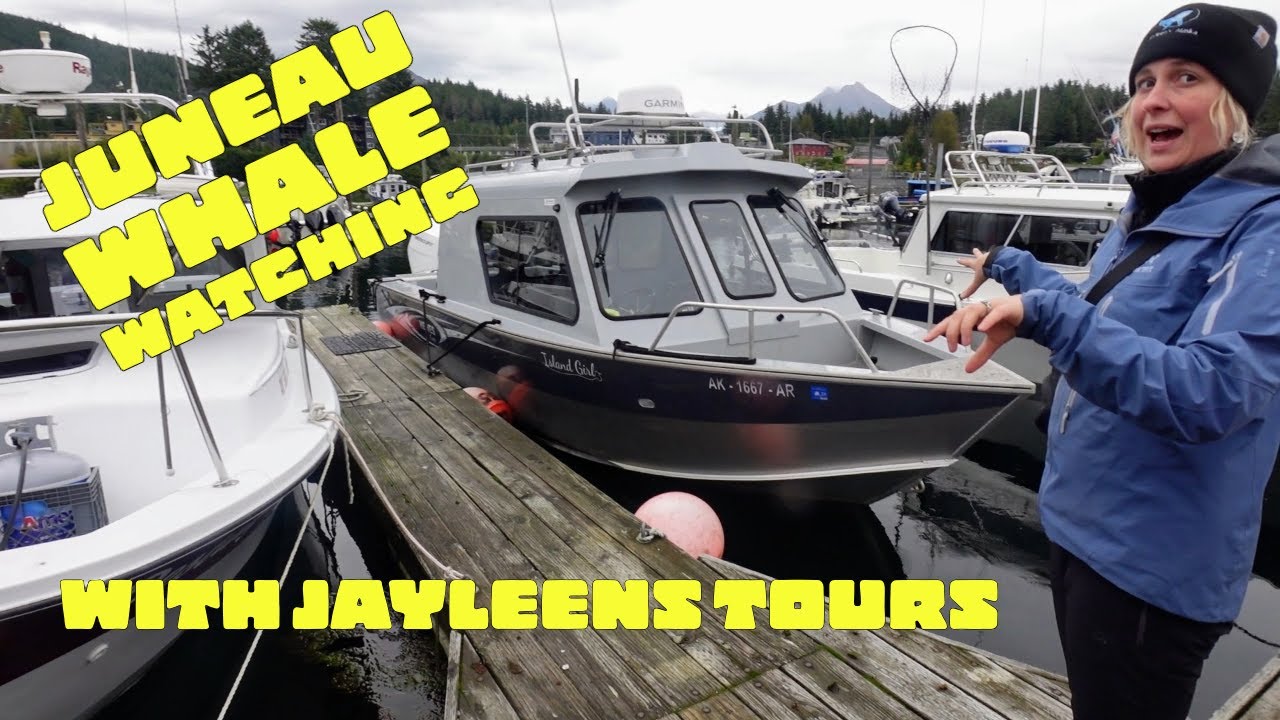 Juneau Whale Watching - Jayleen's Alaska Tours