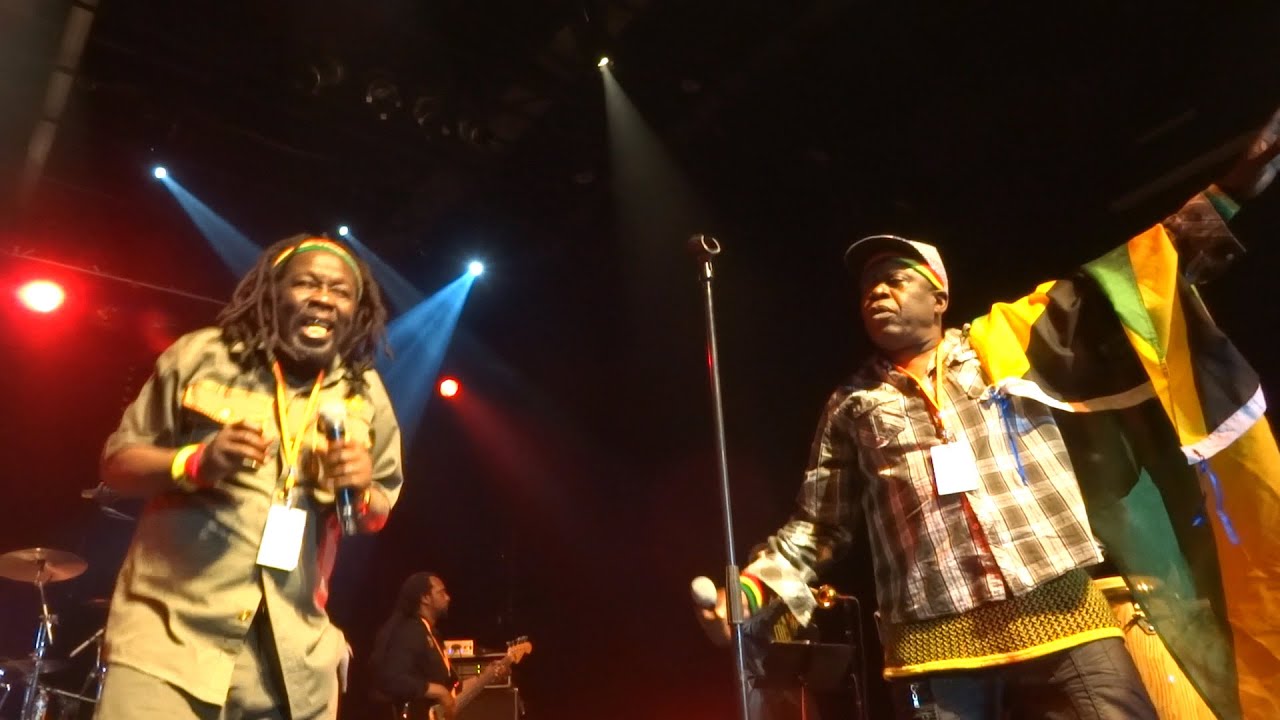 Black Roots - Juvinile Delinquent - live in France 2015