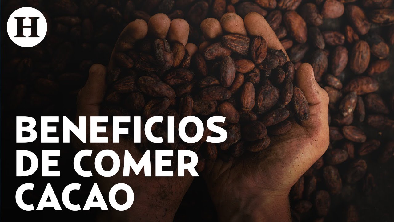 Comer cacao tiene beneficios en la salud y hasta en la belleza de las personas