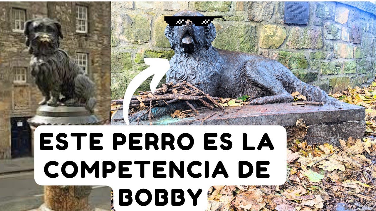 El perro Bobby de Edimburgo Escocia tiene problemas