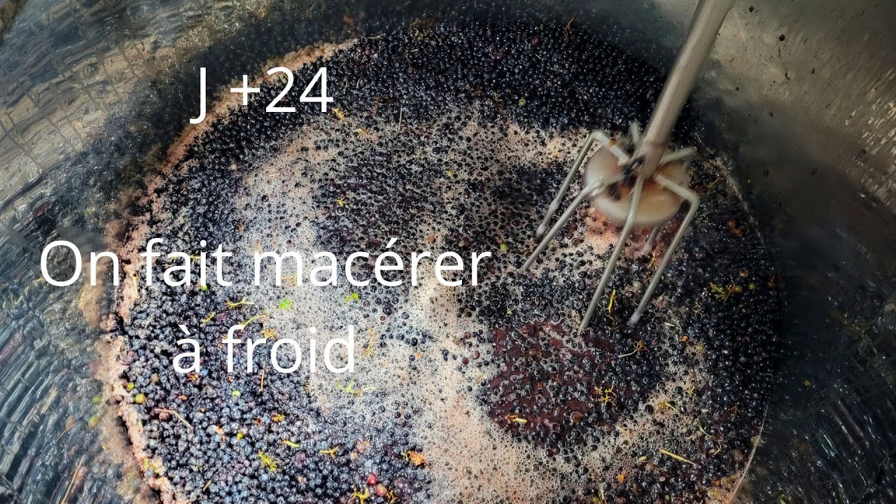 #7 On fait macérer à froid [vendanges 2022 - Domaine AMPELHUS]