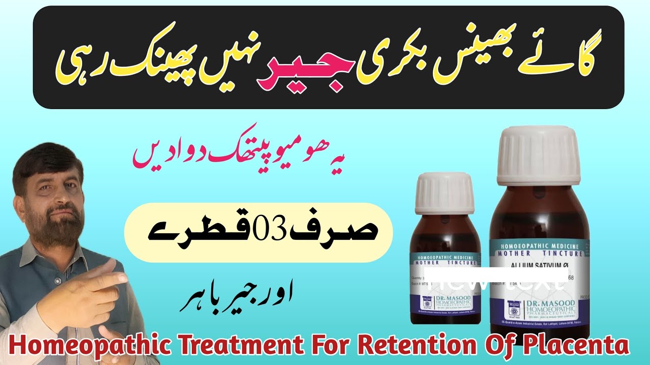 Homeopathic Treatment For جیر In Cattle Buffalo | Retained Placenta Homeopathic Treatment