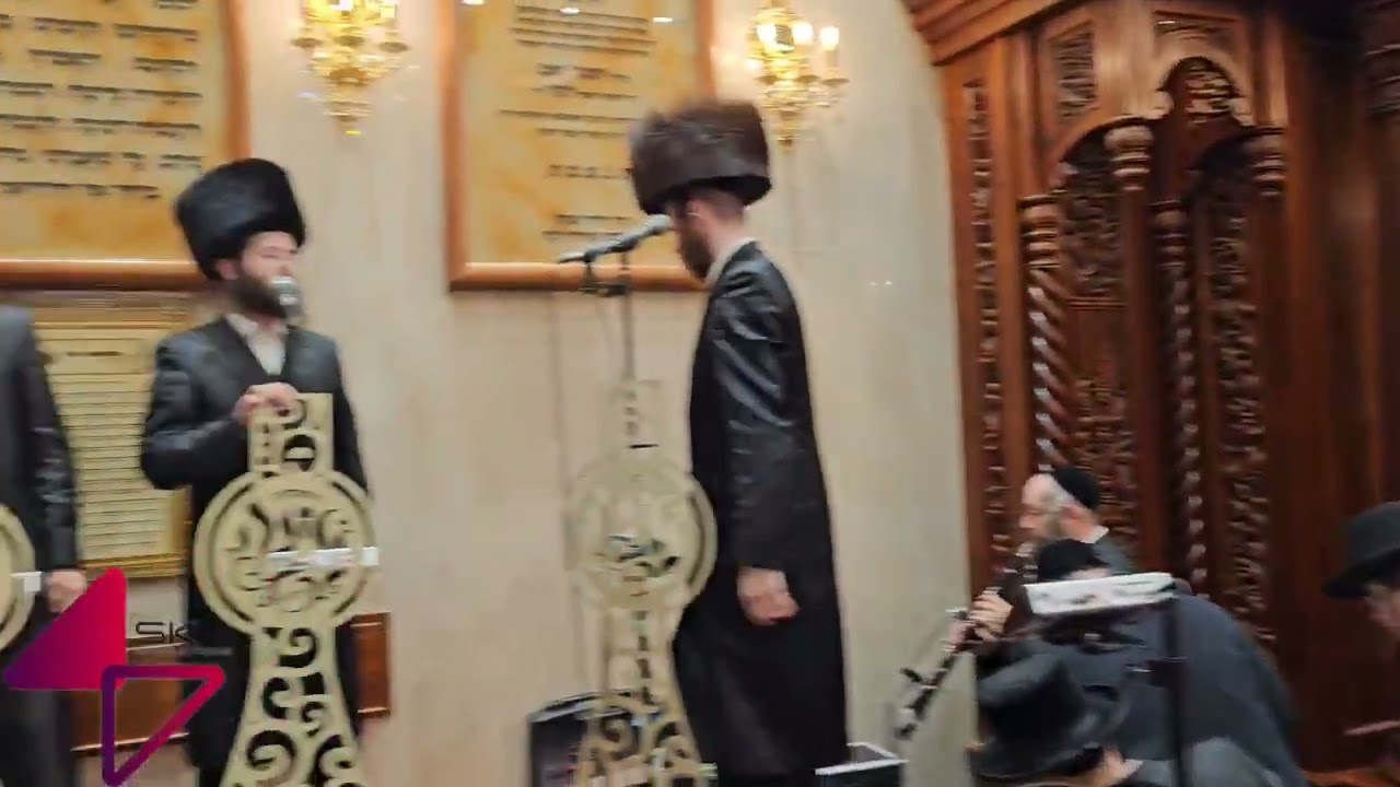 10 בפברואר 2026