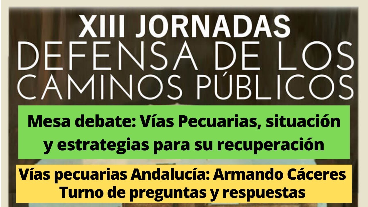 XIII Jornadas Caminos 2019 Mesa debate Vías Pecuarias Andalucia y preguntas