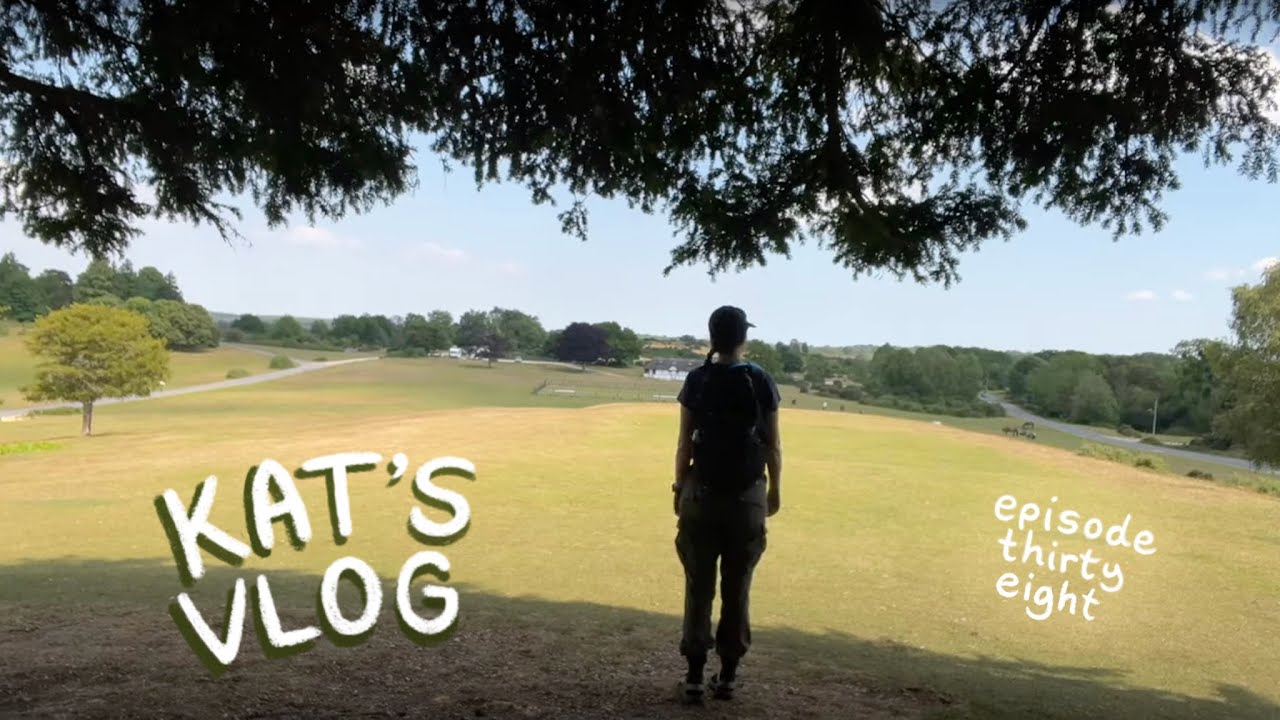 15 mile solo hike in the New Forest! A baby donkey, bushwhacking through ferns and... an eye problem