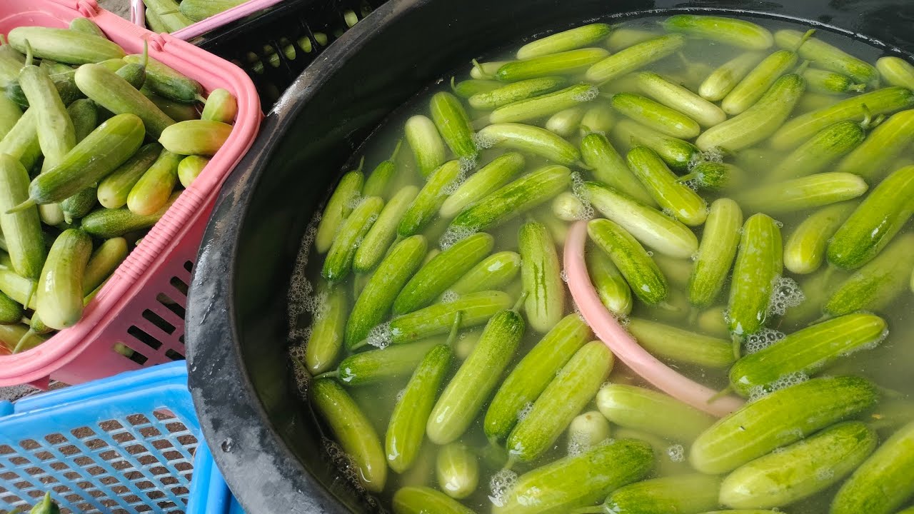 เพิ่มูลค่าสินค้าได้อย่างไรบ้าง เกษตรกล้วยๆ กำลังถ่ายทอดสด!