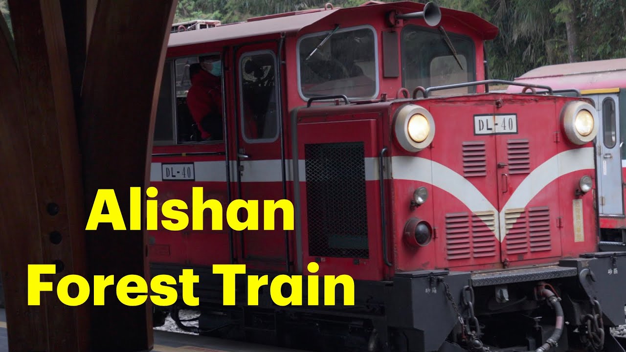 The MOST Beautiful Train in Taiwan? 🇹🇼 #Alishan