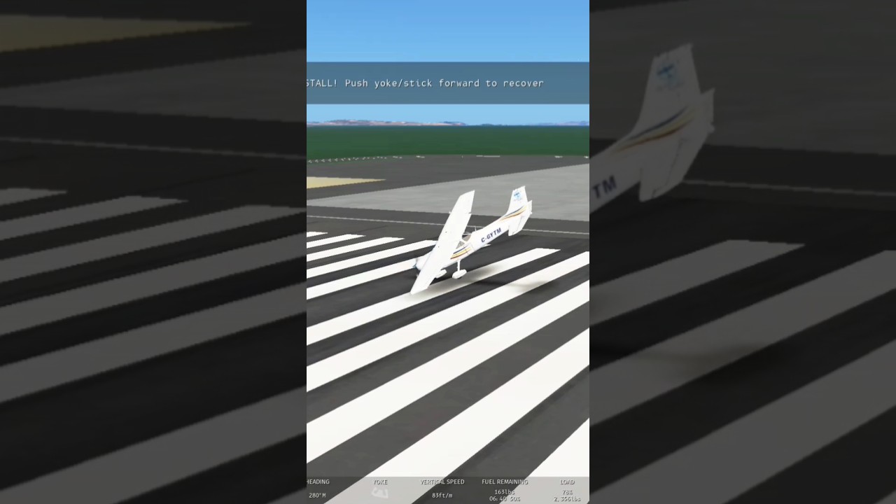New infinite flight simulator update is crazy