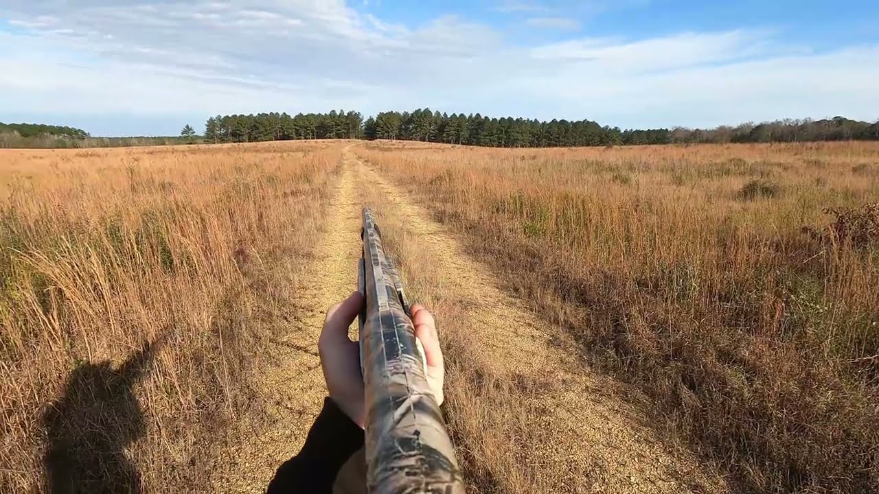 (Deer Hunting With Dogs 2025-2026 Season) Dogs and Deer Running all around me!!