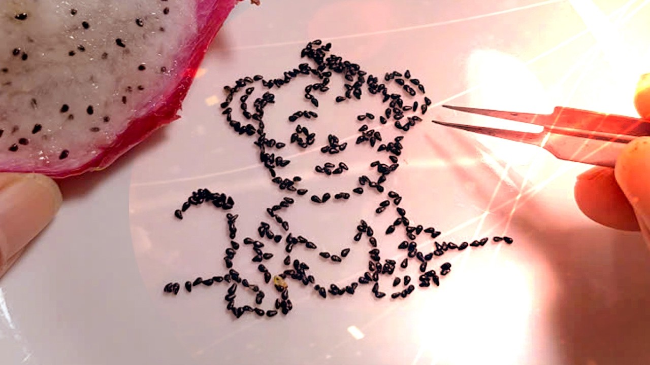 Creative methods of removing dragon fruit seeds to create animal shapes HQBT02 #asmr  #satisfying