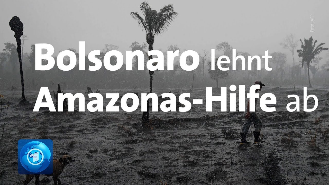 Brände am Amazonas: Millionenhilfe gegen das Inferno