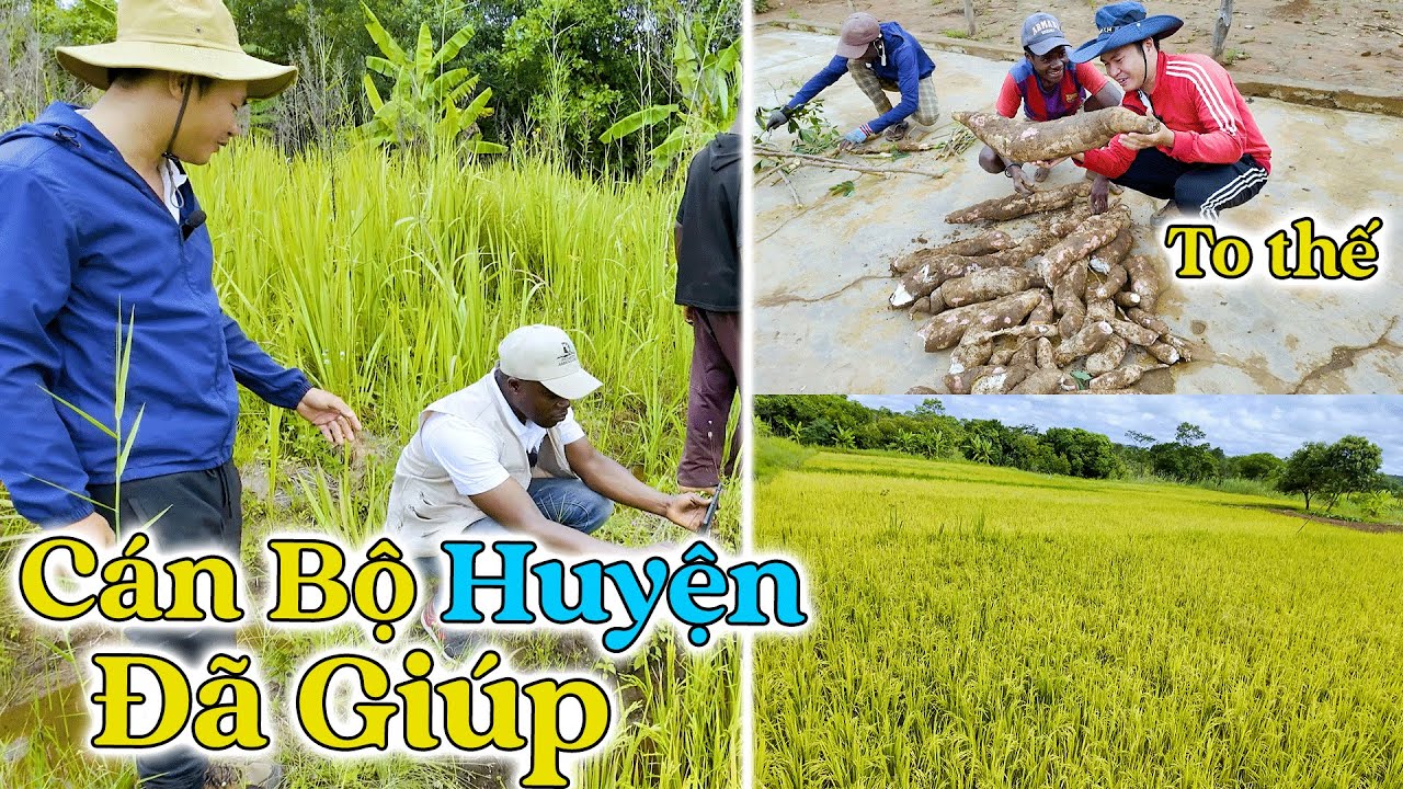 Đông Paulo || Cuối Cùng Thì CÁN BỘ HUYỆN ĐÃ ĐƯA QUYẾT ĐỊNH HỖ TRỢ BÀ CON Sau Khi Thấy Người Việt…