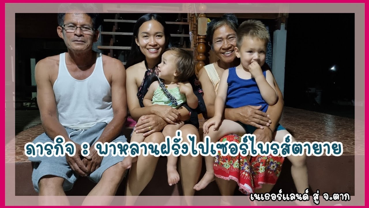 Ep.122 หลานฝรั่งบินไปเซอร์ไพรส์ตายายที่ประเทศไทยครั้งเเรก🇳🇱🇹🇭 #bigsurprise #คนไทยไกลบ้าน #ไทยดัตช์