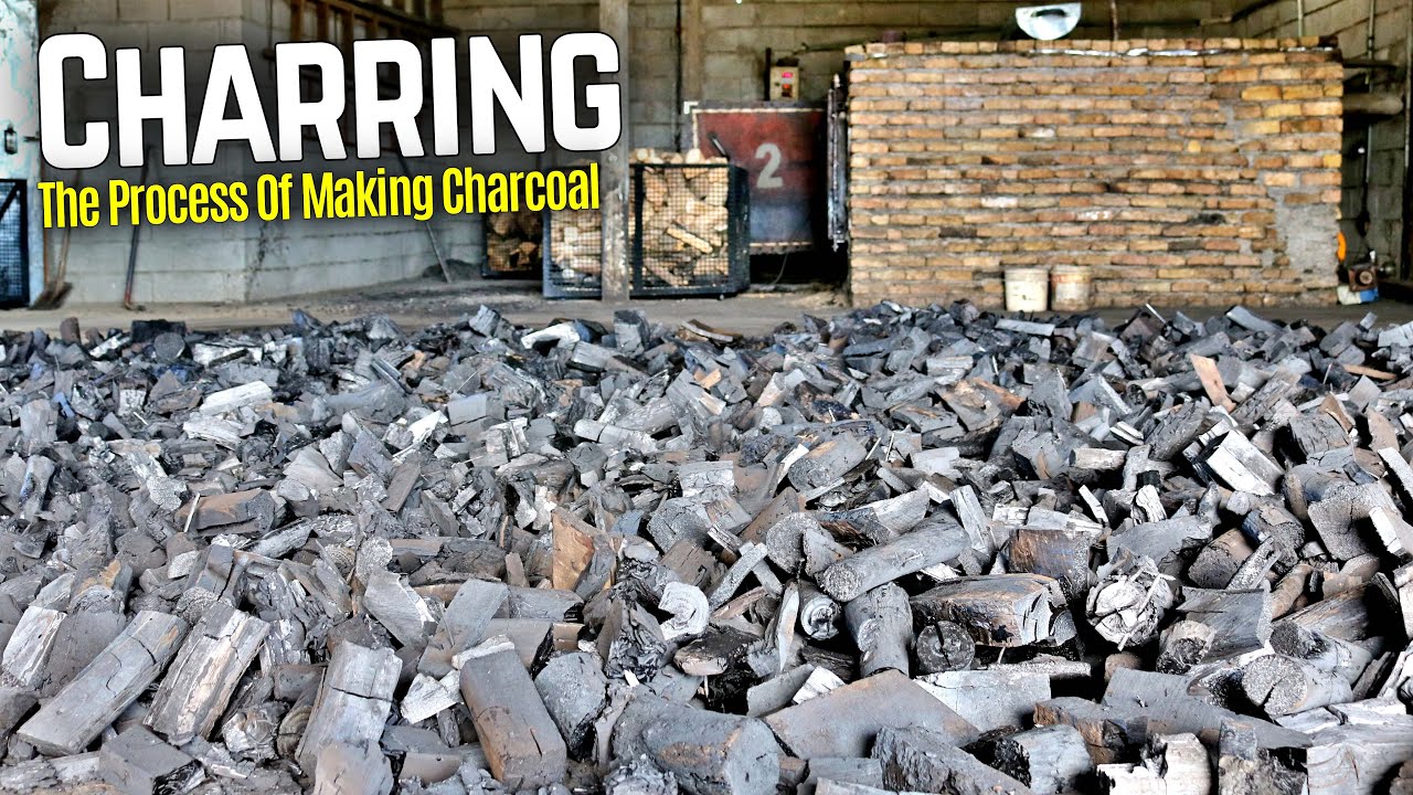 The Process Of Making Charcoal | Charcoal Processing Factory In Iran | Charring