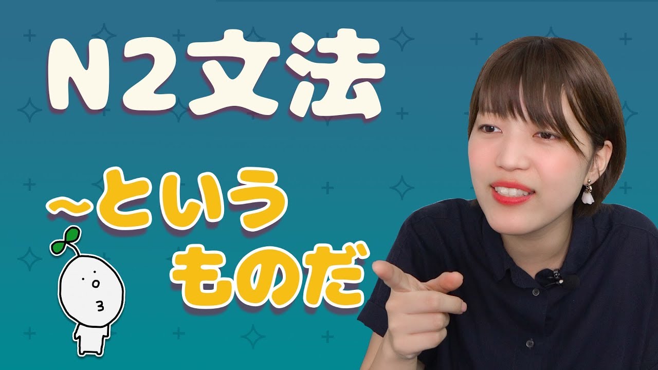 【N2文法】#10 〜というものだ