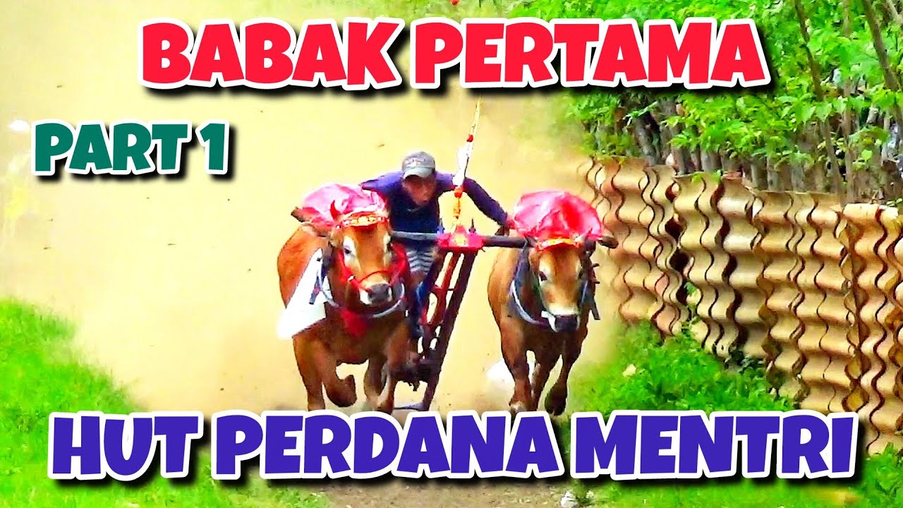 PART 1 BABAK PERTAMA HUT PERDANA MENTRI KARAPAN SAPI DI AWAL TAHUN 2026 