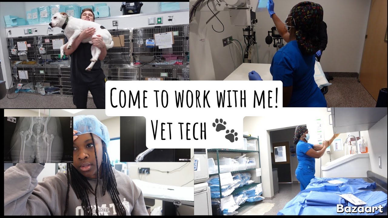 VET MED❗️ A DAY IN THE LIFE ❗️SURGICAL TECHNICIAN! 🙀🐶🙈