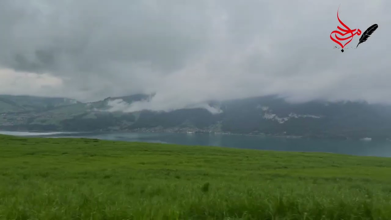 درنہ لوگی درنہ قربان راپسی وہ بہ ژاڑیے 🥹 پشتو طرنم نوی محب اللہ بدری ❤️ سبسکرائب کڑی ملگورو ❤️