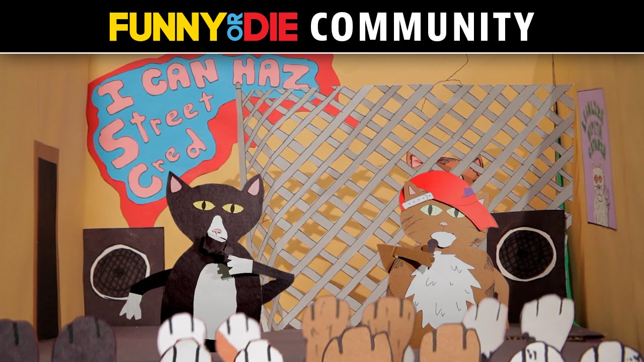 Travis Betz: Kitten Rap Battle