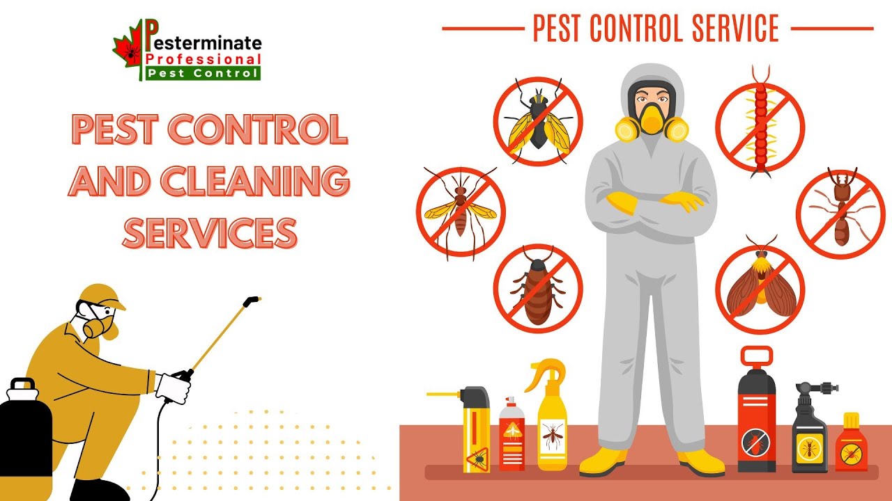 Pest control and cleaning services
