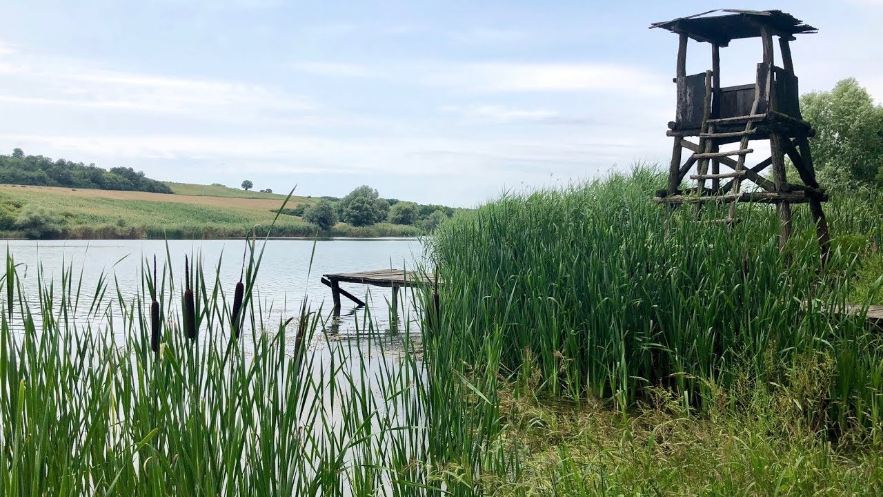Cycling around Fruska Gora