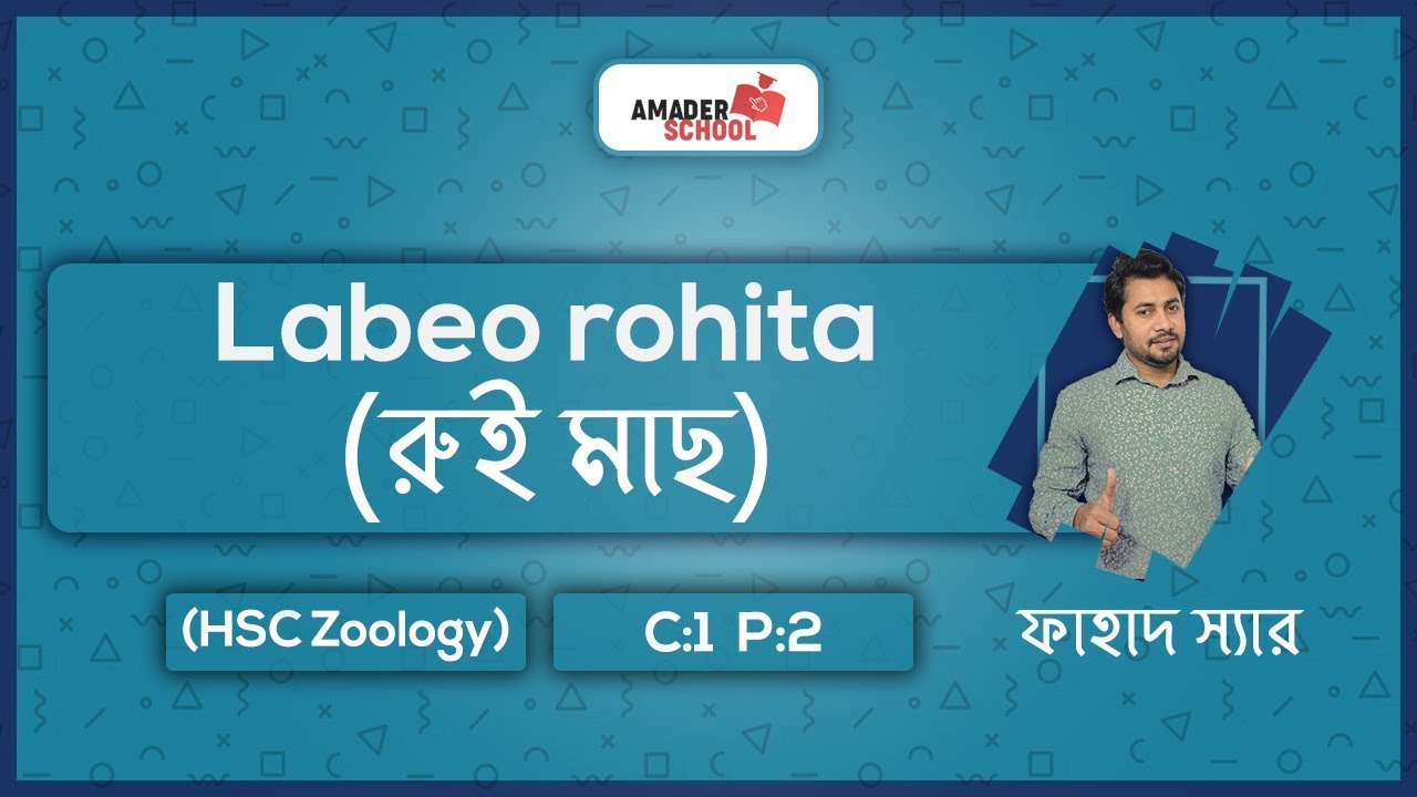 Лабео Рохита | রুই মাছ | HSC Зоология Глава 2 | Часть 1 | Фахад сэр