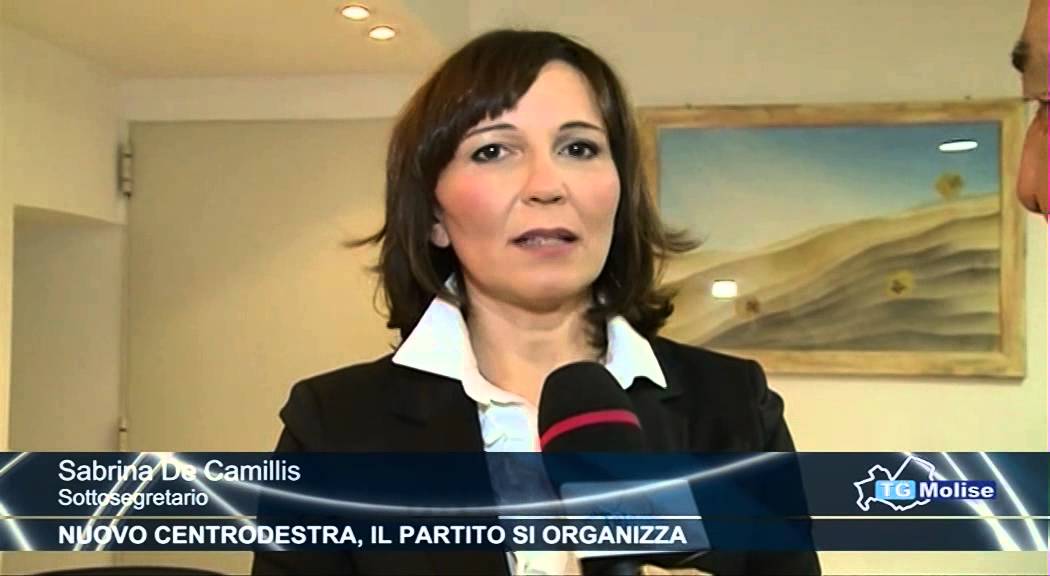 Nuovo centrodestra, il partito si organizza
