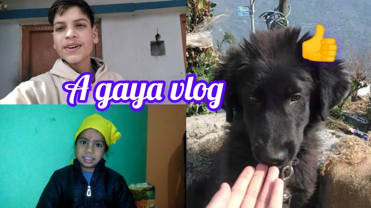 A gaya vlog . 