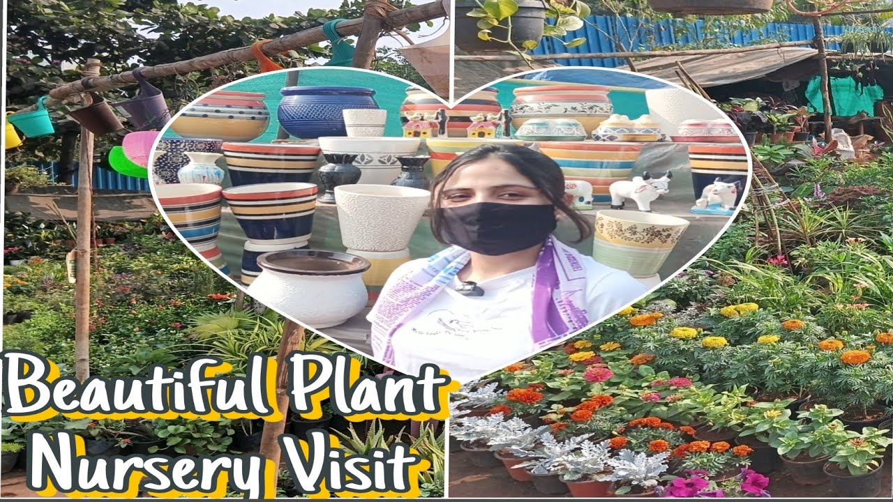 Aj hum log plants lene Gaye nursery 🌺
