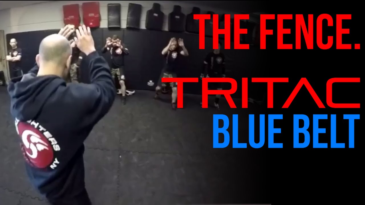 TRITAC &rsaquo; Fence &lsaquo; Concept: Self-Defense Techniques