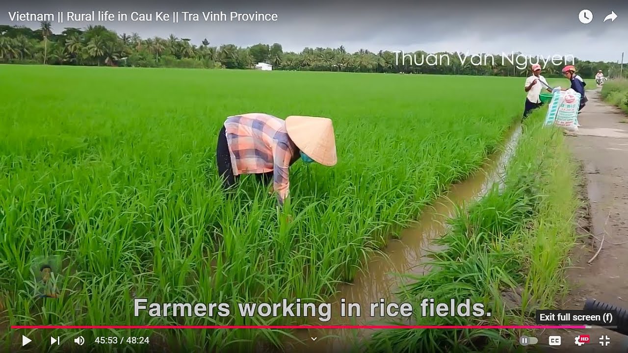 Vietnam || Rural life in Cau Ke || Tra Vinh Province