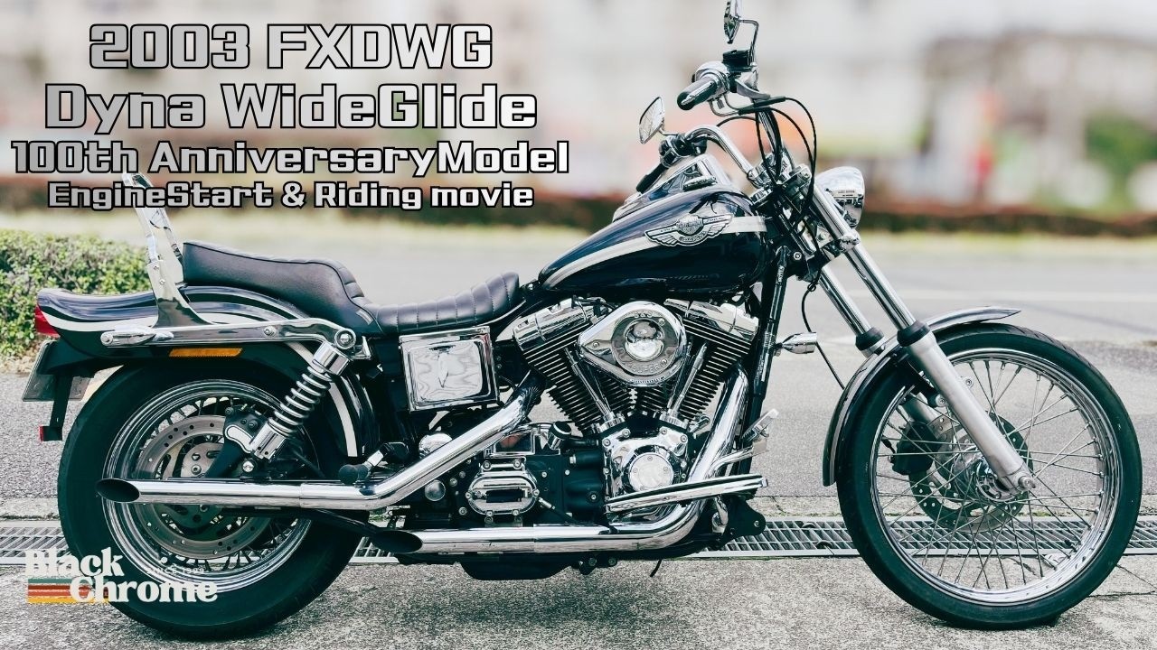 2003 FXDWG　WideGlide　エンジン始動＆走行シーン