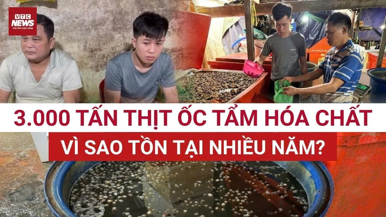 Vụ 3.000 tấn thịt ốc tẩm hóa chất: Vì sao cơ sở vẫn tồn tại suốt nhiều năm? | VTC News