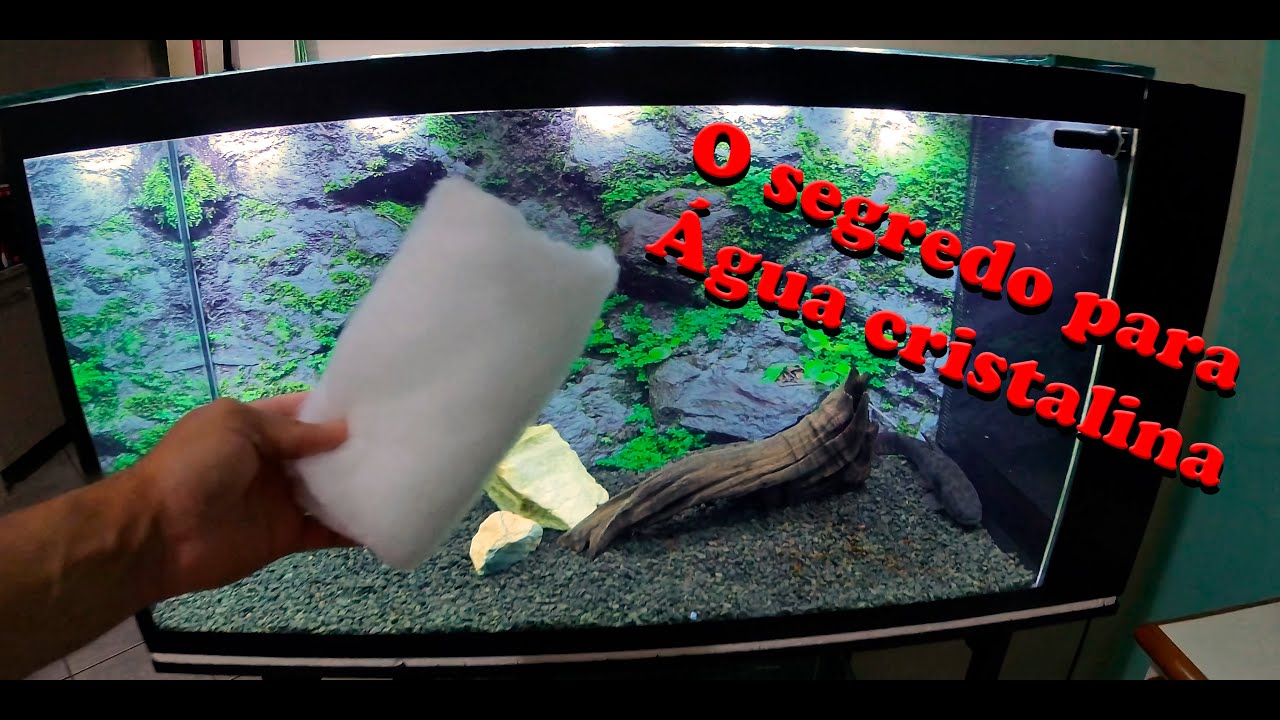 Como deixar a água do aquário transparente e cristalina??? Esse é o segredo!!!!