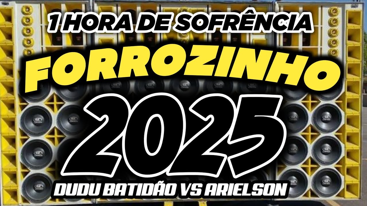 FORROZINHO 2025 REPERTÓRIO ATUALIZADO 1 HORA DE SOFRÊNCIA #nordeste #piseiro #forrozin #forrozinho