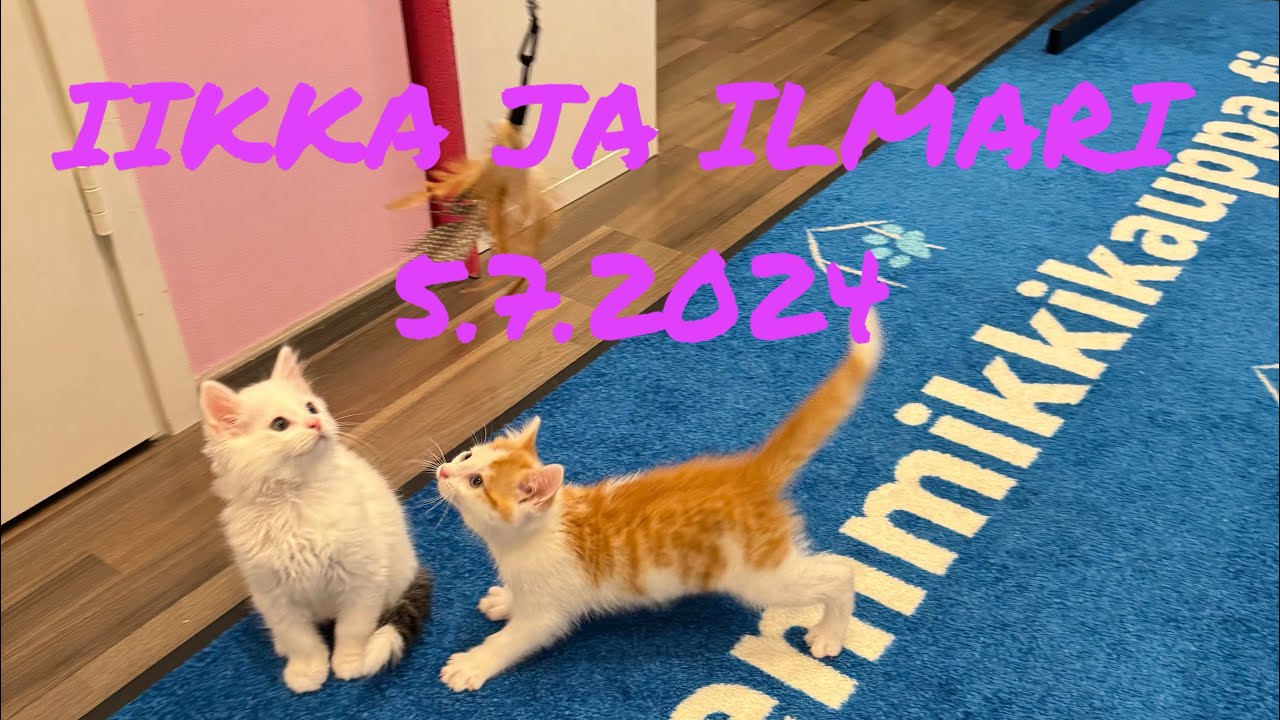 Iikka ja ilmari valoittaa sydämmet leikkiessään💕